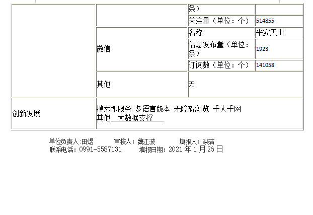 政府网站工作年度报表3.bmp